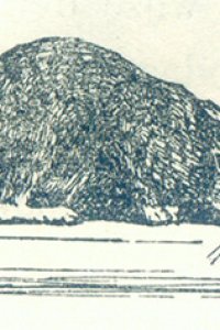 Illustratie door Anthony de Vries voor het gedicht 'De kat' (Schoolmeester, 1872, p. 115)