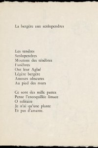 Gedicht door Ribemont-Dessaignes (p. [36]) 