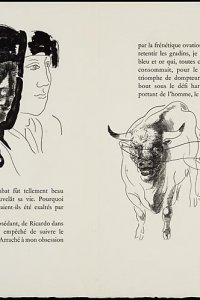 Joseph Peyré, 'Sang et lumières' (1962) met tekeningen van Hans Erni (p. 34-35) 