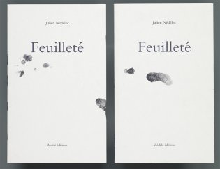 Twee exemplaren van Julien Nédélec, Feuilleté (2013)